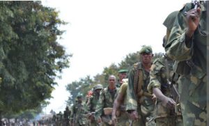 Presque deux semaines se sont déjà écoulées depuis que les positions des FDLR ont fait l’objet d’attaques perpétrées par des éléments de l’armée régulière, les FARDC – Un cadre des FDLR alerte sur les conséquences de la méconnaissance des causes profondes du conflit